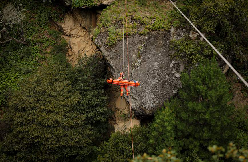 叢林中的橙色身影。西繞拉翁攝