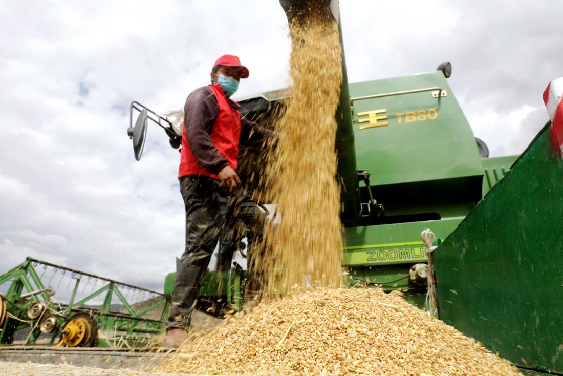 顆粒歸倉(cāng)。洛克攝