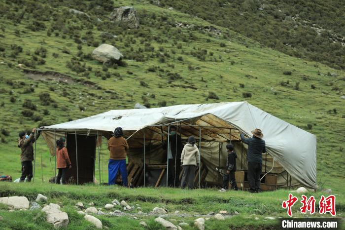 圖為牧民們在秋季牧場搭建帳篷?！÷蹇?攝