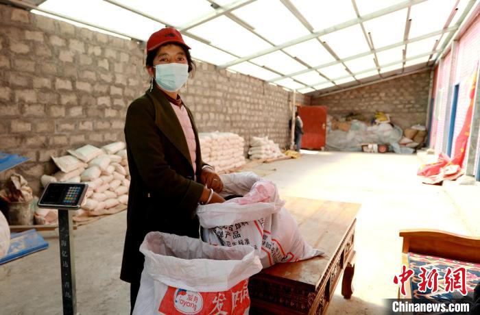 圖為寧重崗村村民扎西才措把自家的油菜籽送到合作社銷售。　嘉黎縣融媒體中心供圖