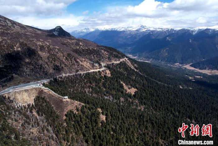 2月17日，西藏林芝魯朗林海。(無人機照片) 李林 攝