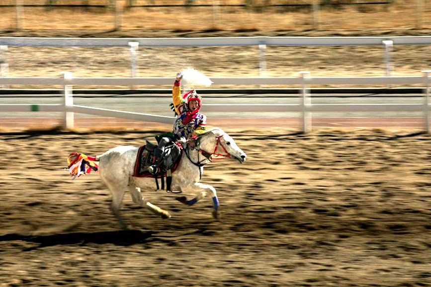 藏歷新年，精彩的馬術表演。張靜攝