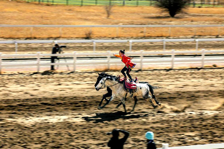 藏歷新年，精彩的馬術表演。張靜攝