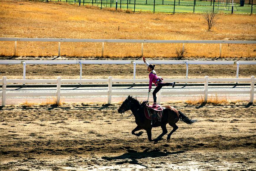 藏歷新年，精彩的馬術表演。張靜攝