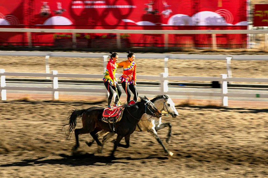藏歷新年，精彩的馬術表演。張靜攝