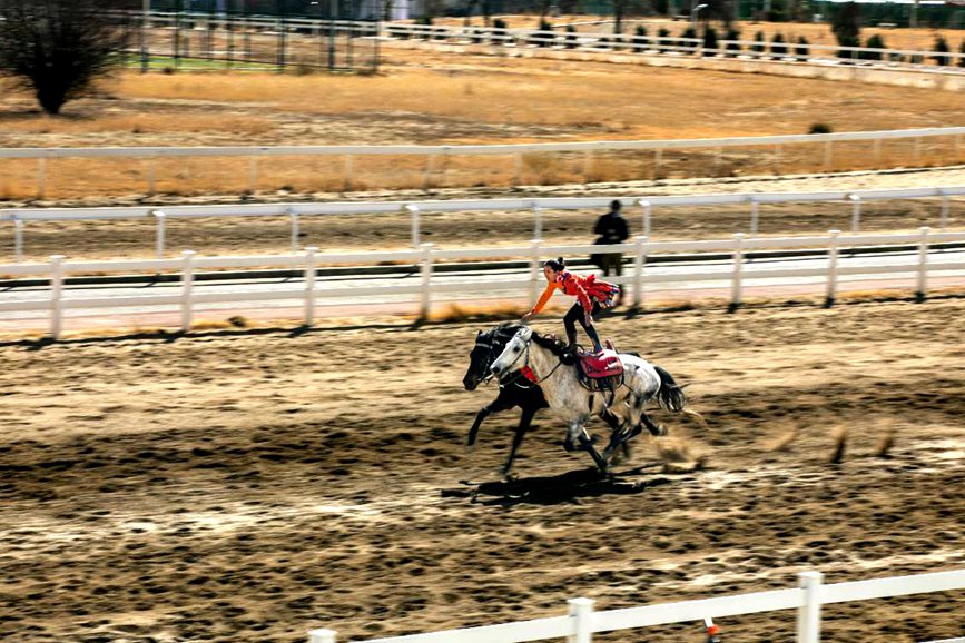 藏歷新年，精彩的馬術表演。張靜攝