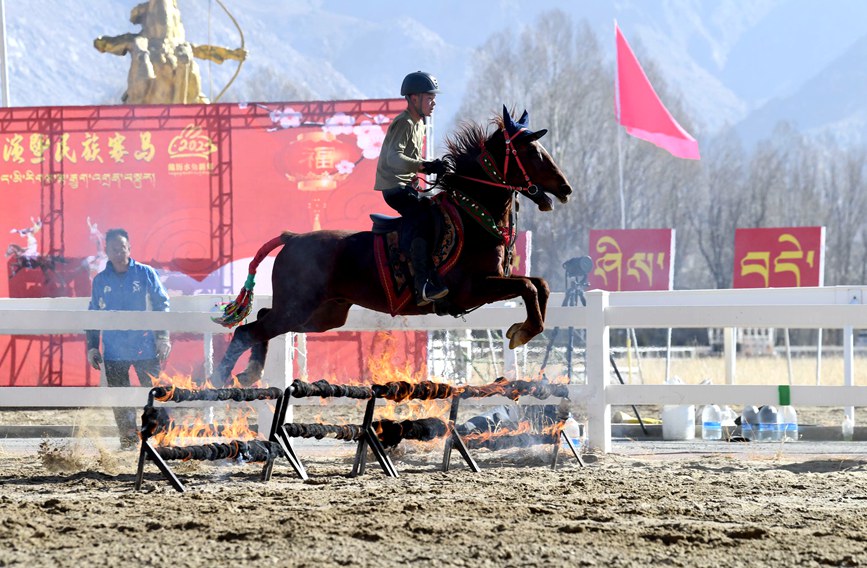藏歷新年，精彩的馬術表演。潘多攝