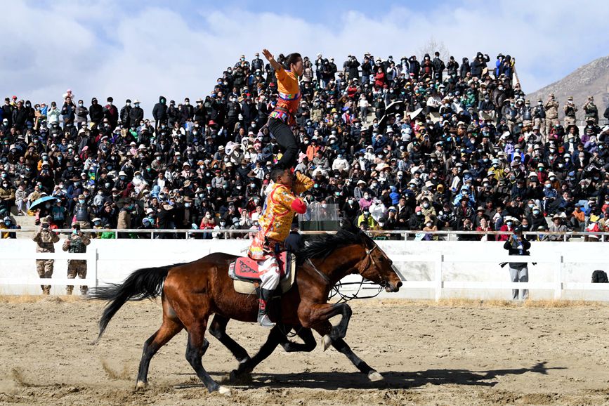 藏歷新年，精彩的馬術表演。潘多攝