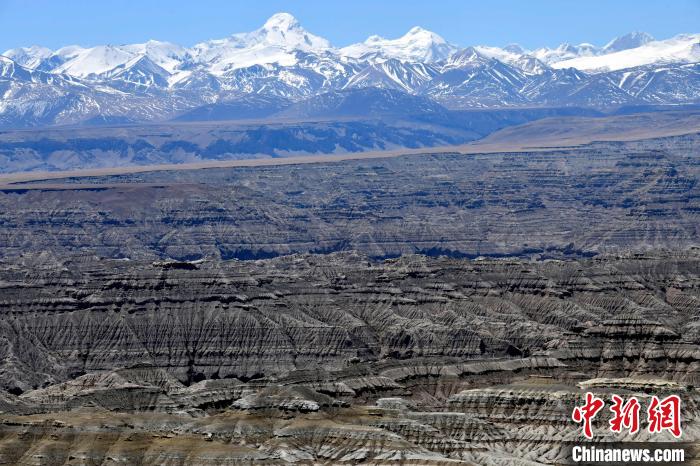 4月5日，西藏阿里札達(dá)土林?！±盍?攝