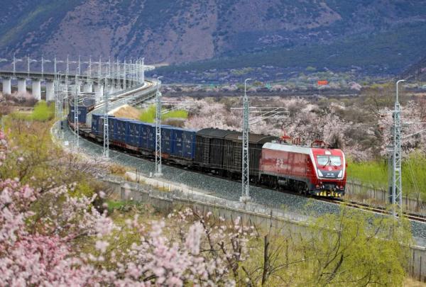 人間桃花源！林芝桃花有多絕？