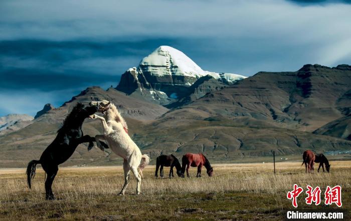 圖為參展攝影師拍攝的西藏阿里岡仁波齊?！≈鬓k方 供圖