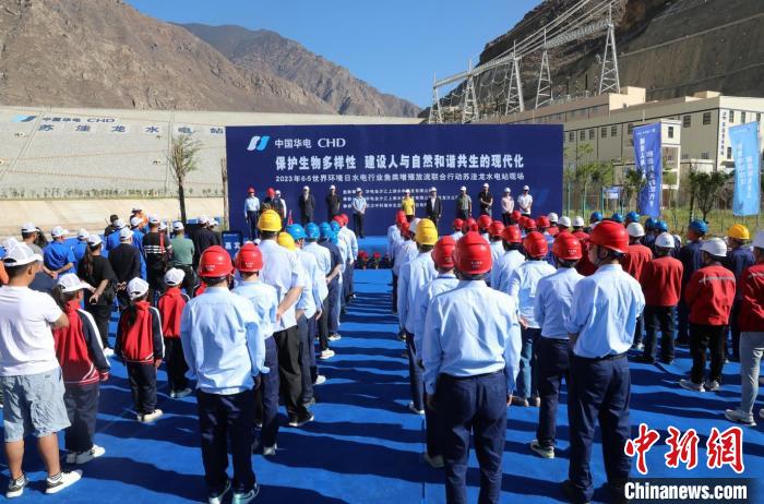 圖為蘇洼龍水電站魚類放流現(xiàn)場。　蘇洼龍水電站供圖