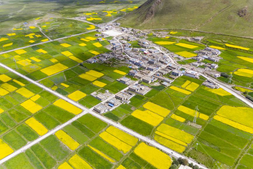 航拍道布龍村，依山傍水，阡陌縱橫。