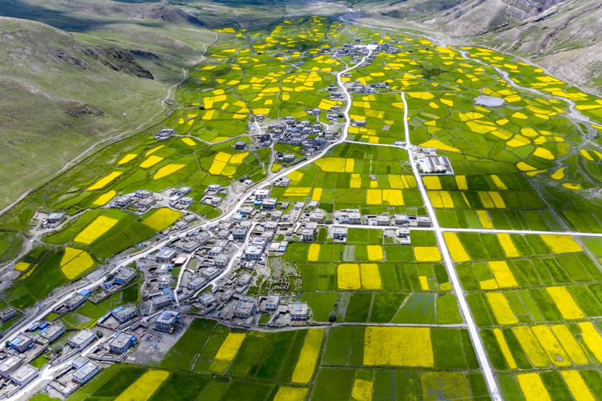 航拍道布龍村，依山傍水，阡陌縱橫。