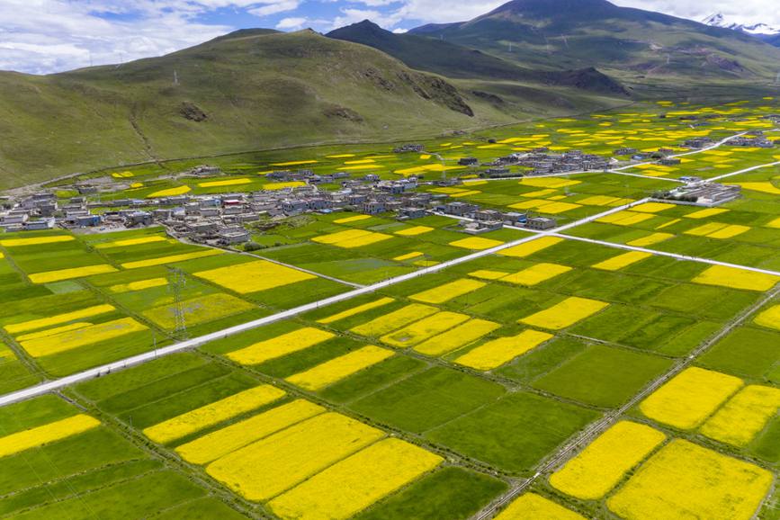 航拍道布龍村，依山傍水，阡陌縱橫。