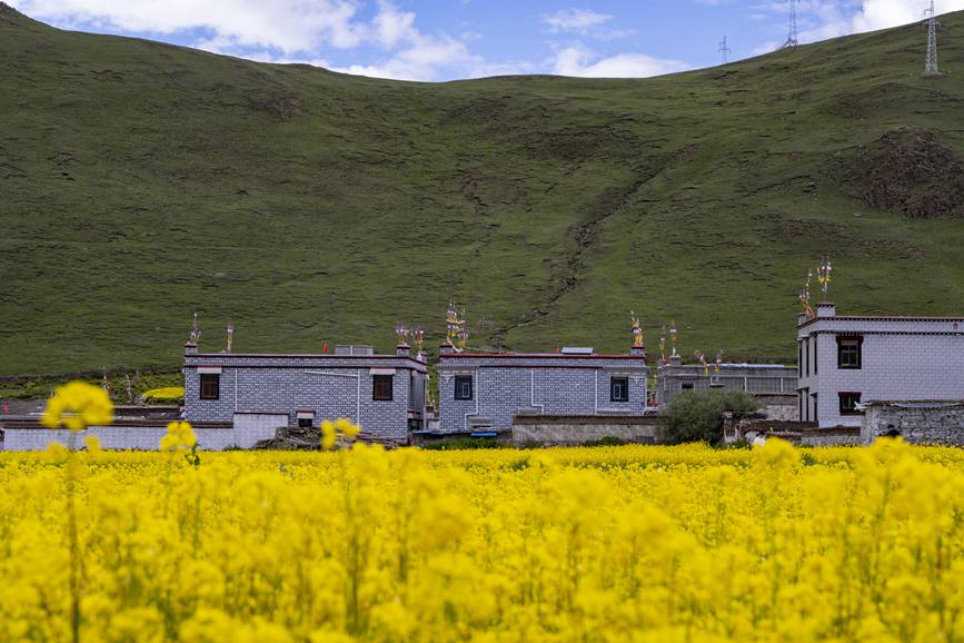 環(huán)境優(yōu)美的道布龍村一角。