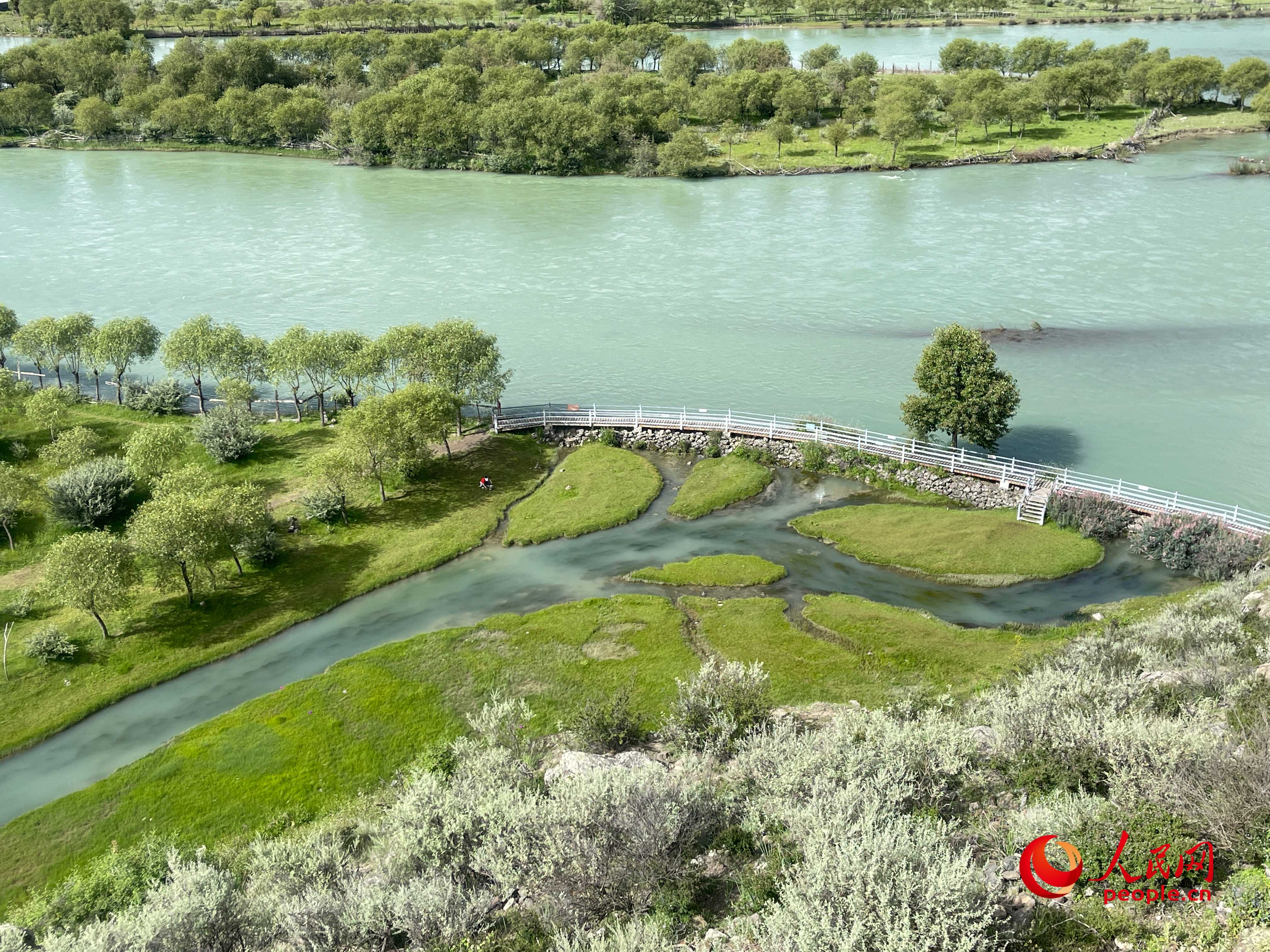 夏日的雅尼國家濕地公園生機盎然，如詩如畫。人民網(wǎng) 周靜圓攝