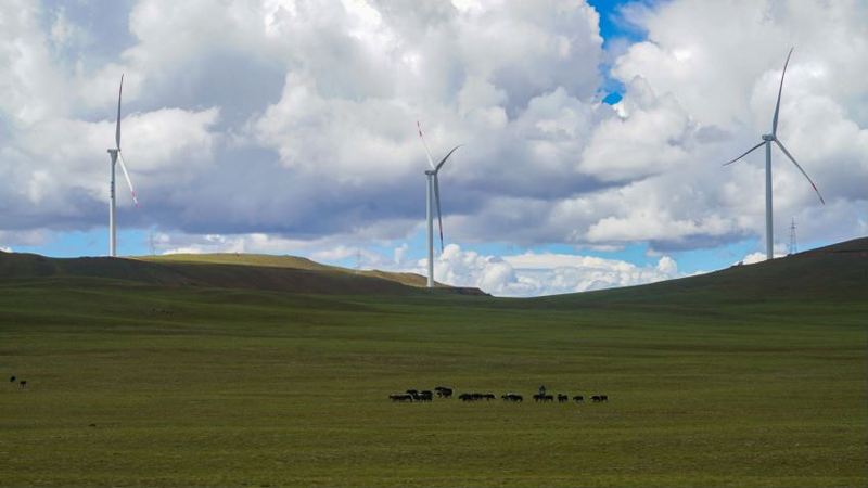 西藏措美哲古風電場首批3.6兆瓦風電機組并網(wǎng)發(fā)電。受訪者供圖