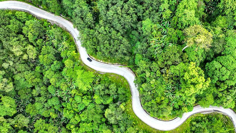 穿行于綠色間，生態(tài)優(yōu)良。張澤坤攝