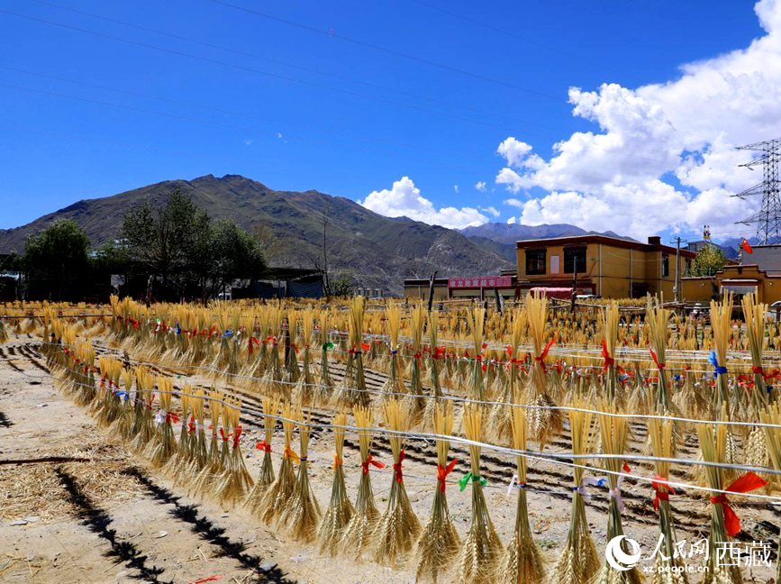 幸福生活曬出來。人民網(wǎng) 李海霞攝