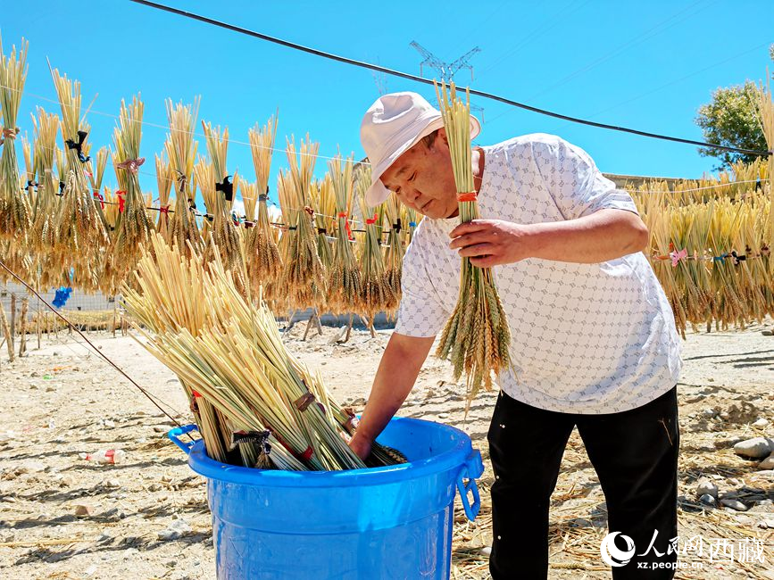 幸福生活曬出來。人民網(wǎng) 李海霞攝