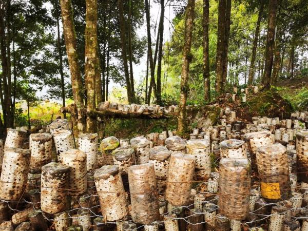 幾代建設(shè)者，歷經(jīng)半個(gè)多世紀(jì)完成！這是一條怎樣的公路？