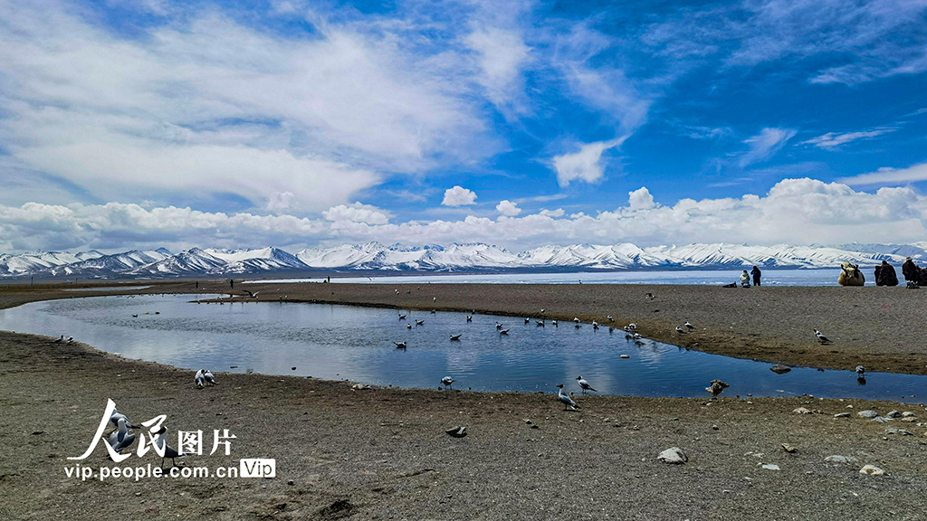 西藏:納木錯(cuò)美景惹人醉