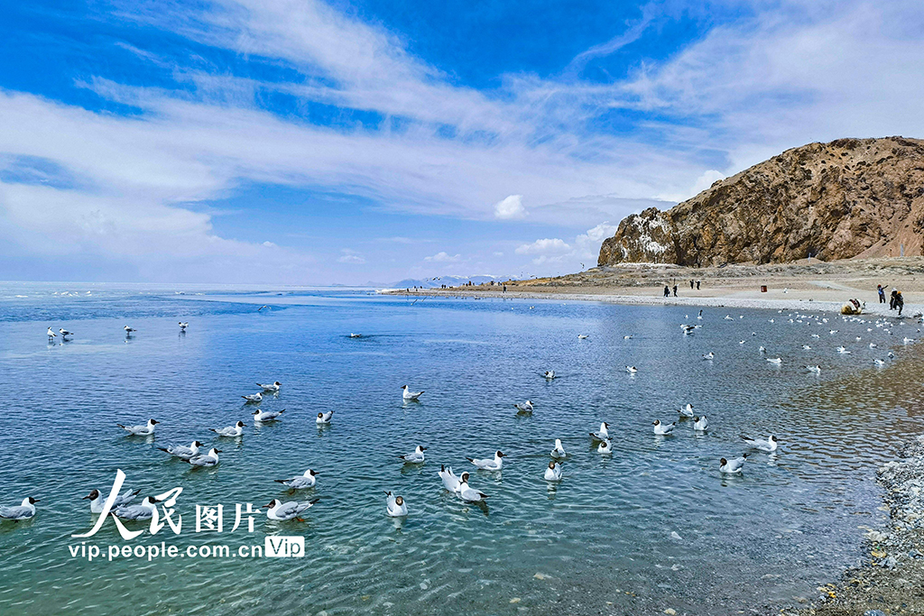 西藏:納木錯(cuò)美景惹人醉【3】