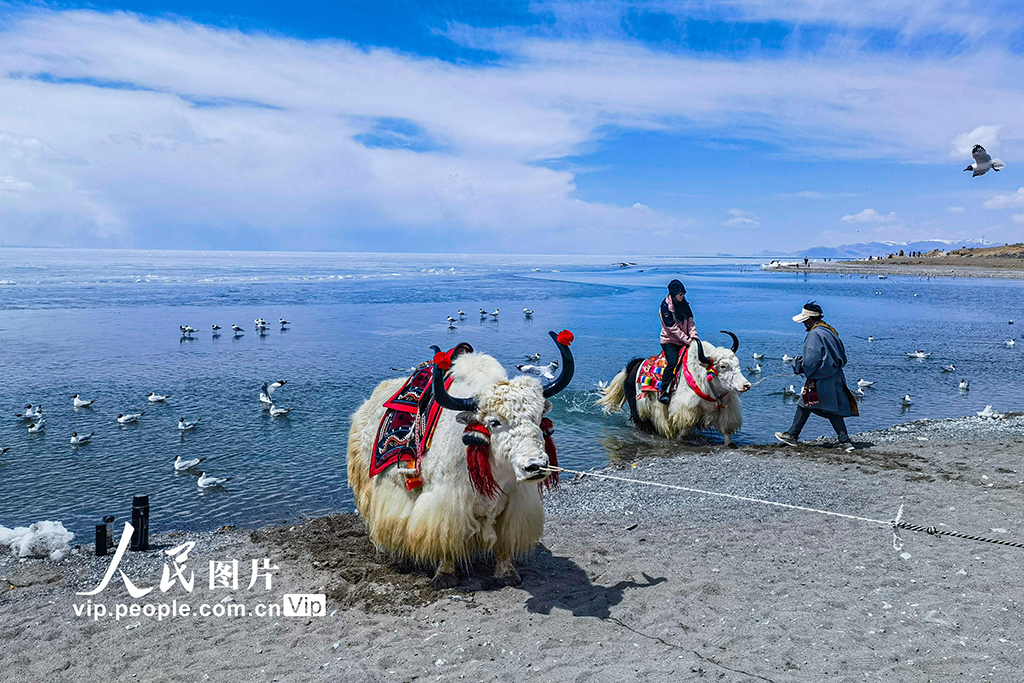 西藏:納木錯(cuò)美景惹人醉【4】