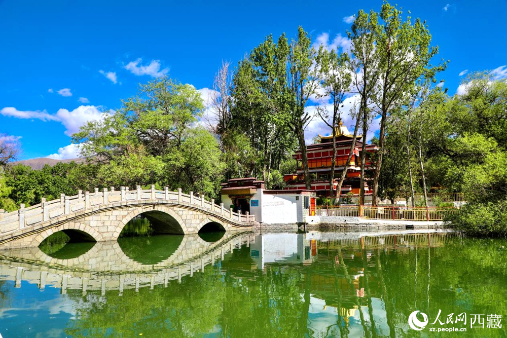 公園內(nèi)綠意盎然。