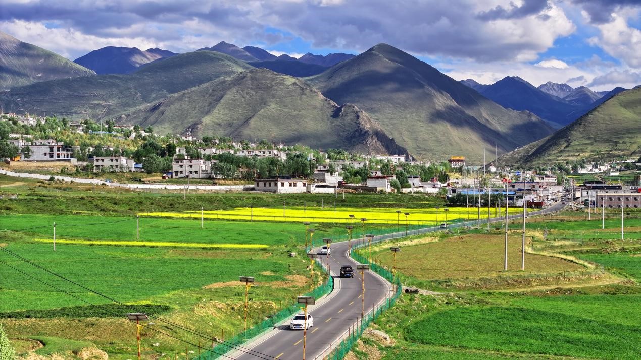 油菜花開“金”滿地。墨竹工卡縣委宣傳部 洛克攝