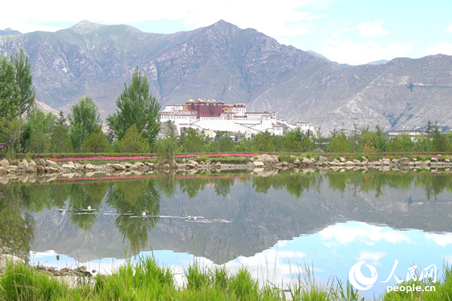 雄偉的布達(dá)拉宮與綠意蔥蘢的南山隔河相望。人民網(wǎng)記者 劉凡攝