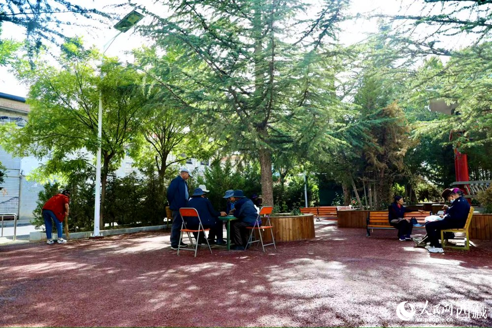 老人們在綠樹成蔭的“社區(qū)會(huì)客廳”中對弈休憩。人民網(wǎng)記者 次仁羅布攝