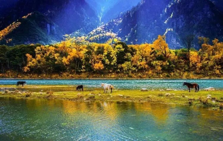 懂西藏的人，一定不會錯過林芝的秋天