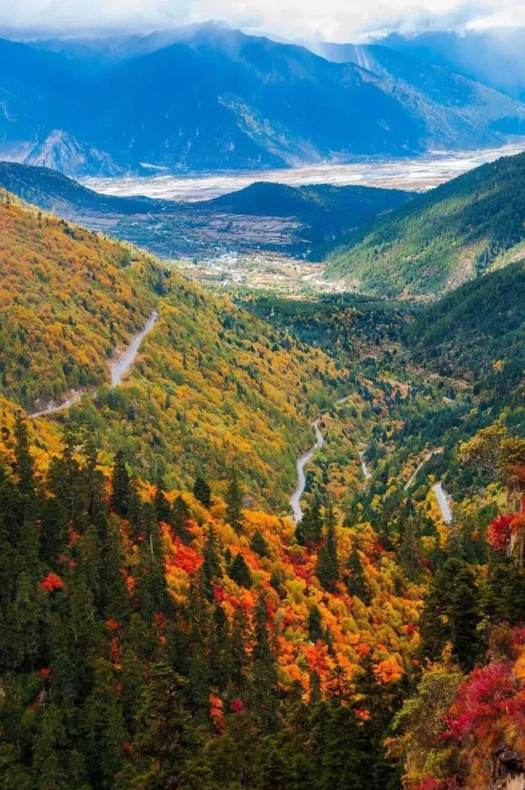 懂西藏的人，一定不會錯過林芝的秋天