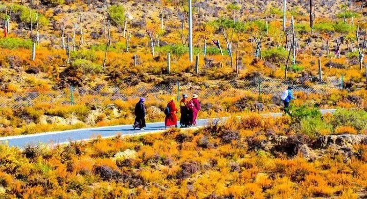 懂西藏的人，一定不會錯過林芝的秋天