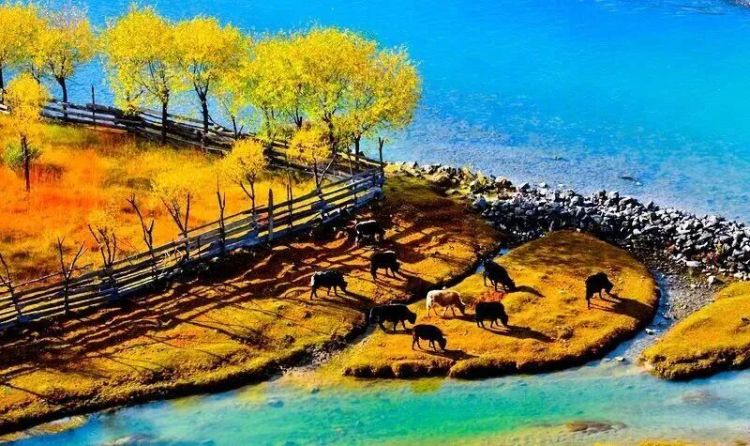 懂西藏的人，一定不會錯過林芝的秋天