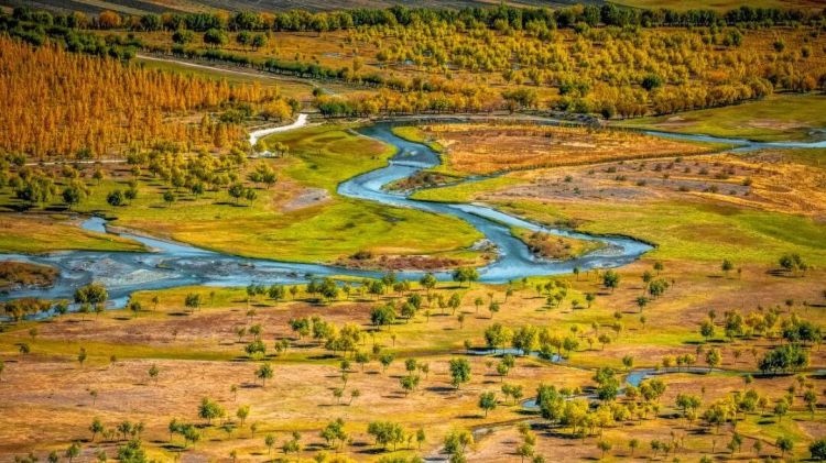 懂西藏的人，一定不會錯過林芝的秋天