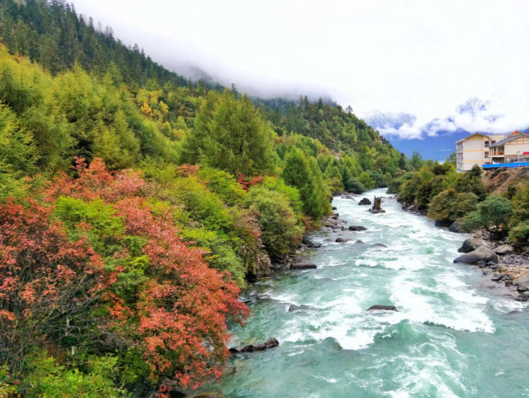 懂西藏的人，一定不會錯過林芝的秋天