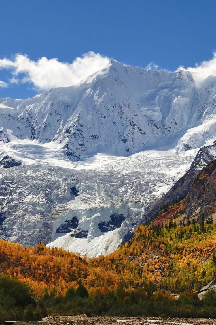 懂西藏的人，一定不會錯過林芝的秋天