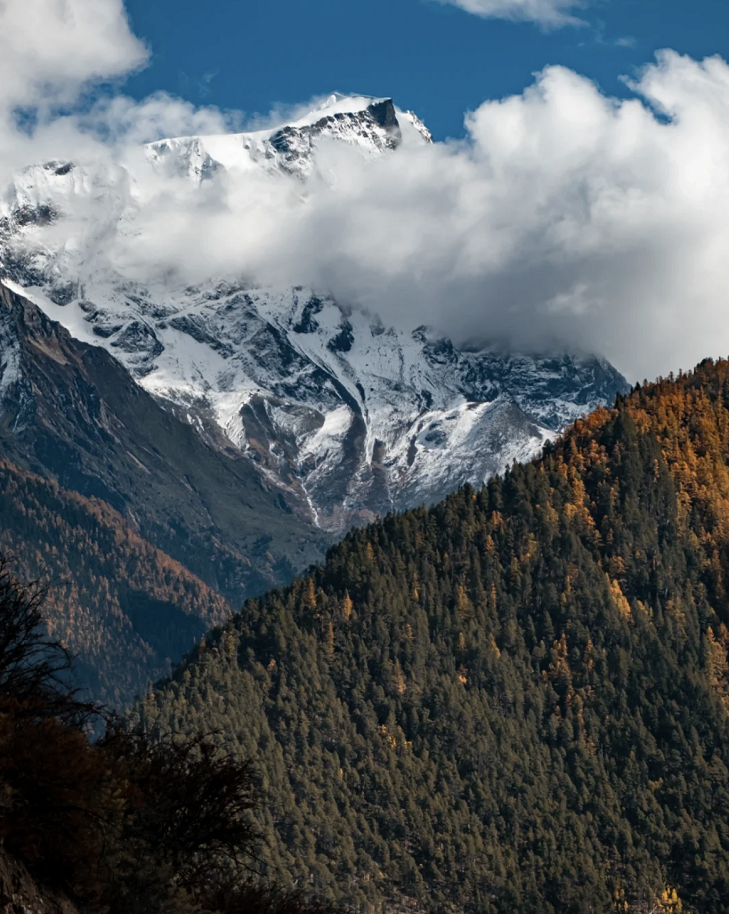 懂西藏的人，一定不會錯過林芝的秋天