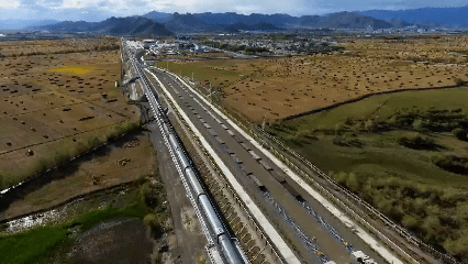 青稞“蛻變”，牦牛“出圈”！看西藏農(nóng)牧民的“十四五”豐收答卷