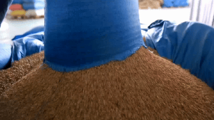 青稞“蛻變”，牦?！俺鋈Α保】次鞑剞r(nóng)牧民的“十四五”豐收答卷