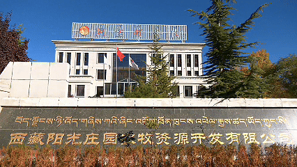 青稞“蛻變”，牦?！俺鋈Α?！看西藏農(nóng)牧民的“十四五”豐收答卷