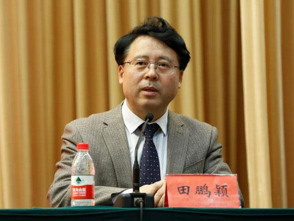 田鵬穎：投入其中、樂在其中、安身其中