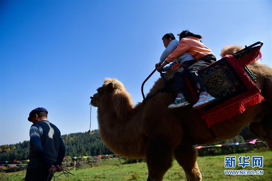 （全面建成小康社會(huì)“百城千縣萬(wàn)村調(diào)研行”·圖文互動(dòng)）（7）青?？?yáng)村：“光棍村”的華麗轉(zhuǎn)身