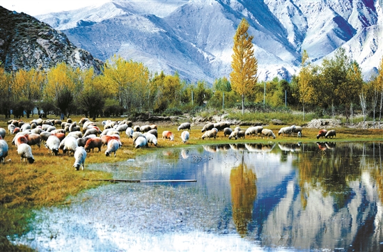 曲水縣郊外的怡人風(fēng)景。 拉薩日報 平措旺堆攝.jpg