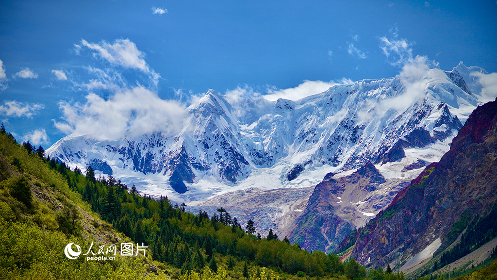 2023??5??5日，西藏林芝米堆冰川。人民網(wǎng) 次仁羅布??.jpg